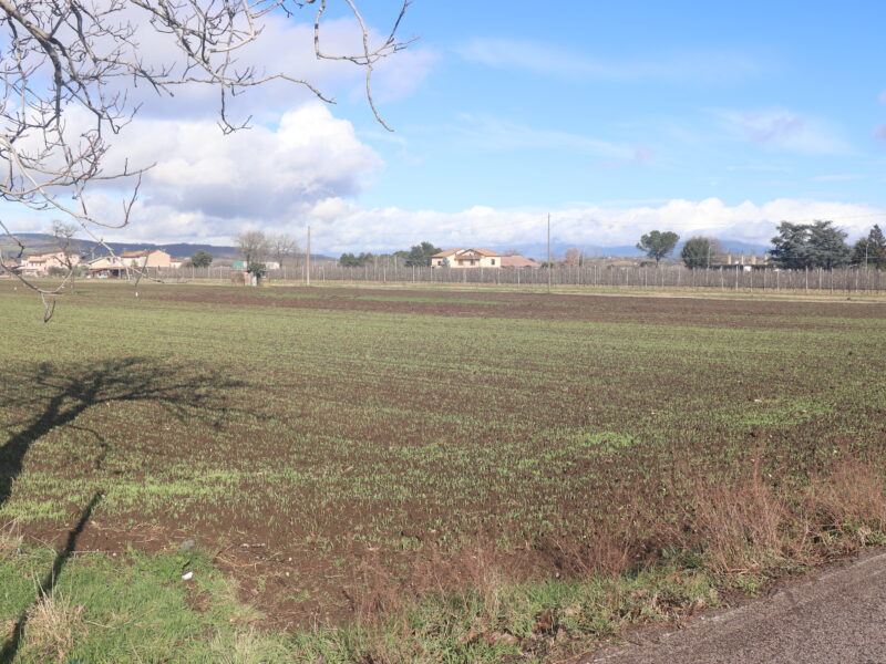 DUGENTA (BN) - 83 TERRENO PIANEGGIANTE