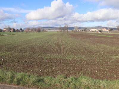 DUGENTA (BN) - 83 TERRENO PIANEGGIANTE