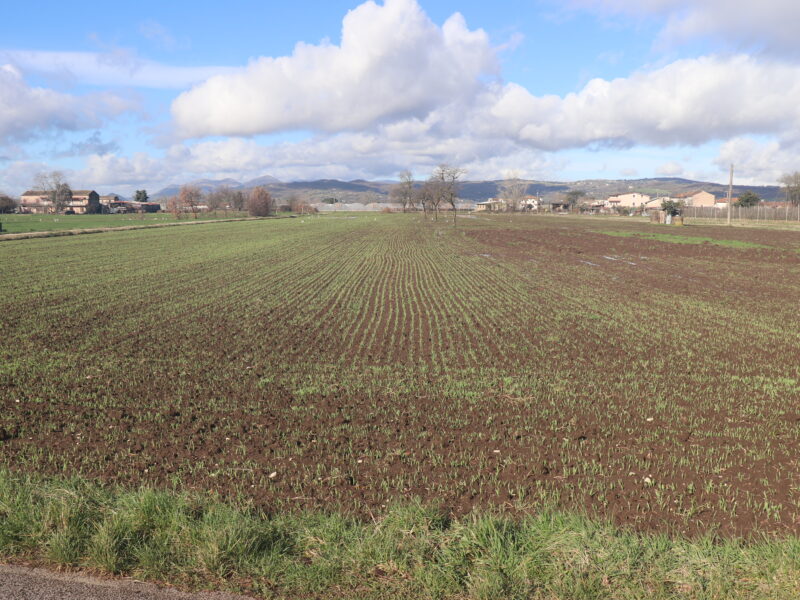 DUGENTA (BN) - 83 TERRENO PIANEGGIANTE