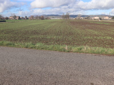 DUGENTA (BN) - 83 TERRENO PIANEGGIANTE