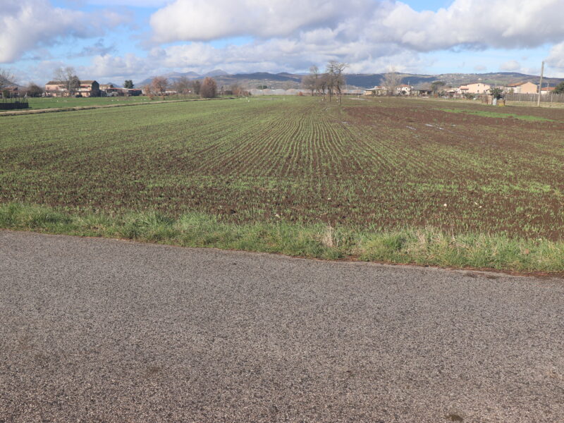 DUGENTA (BN) - 83 TERRENO PIANEGGIANTE