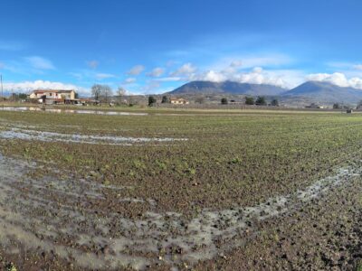 DUGENTA (BN) - 83 TERRENO PIANEGGIANTE