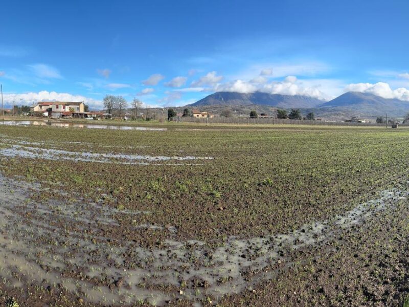 DUGENTA (BN) - 83 TERRENO PIANEGGIANTE