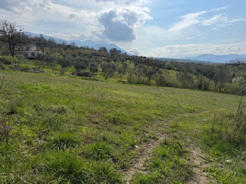 DUGENTA (BN) - 108 CAPANNONE CON TERRENO IN SPLENDIDA POSIZIONE