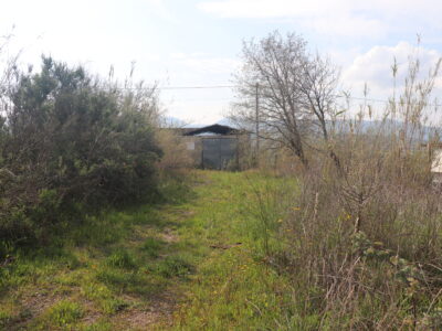 DUGENTA (BN) - 108 CAPANNONE CON TERRENO IN SPLENDIDA POSIZIONE