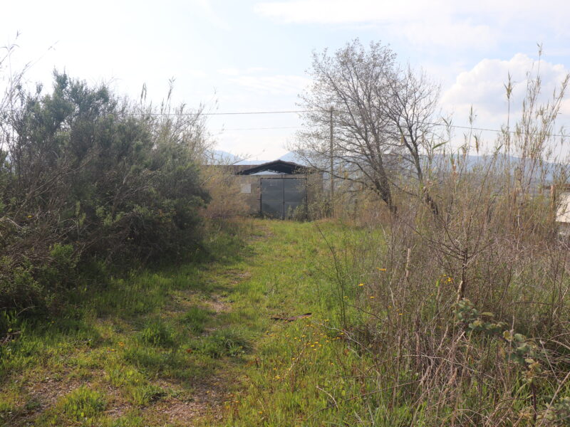 DUGENTA (BN) - 108 CAPANNONE CON TERRENO IN SPLENDIDA POSIZIONE