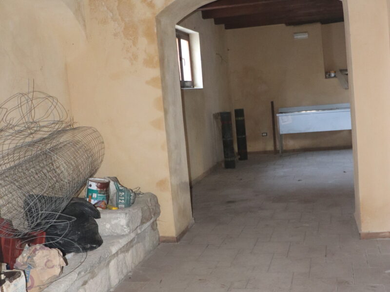 FRASSO TELESINO (BN) - 87 LOCALE COMMERCIALE D/8 CON GIARDINO