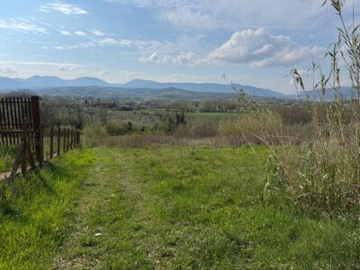 DUGENTA (BN) - 108 CAPANNONE CON TERRENO IN SPLENDIDA POSIZIONE