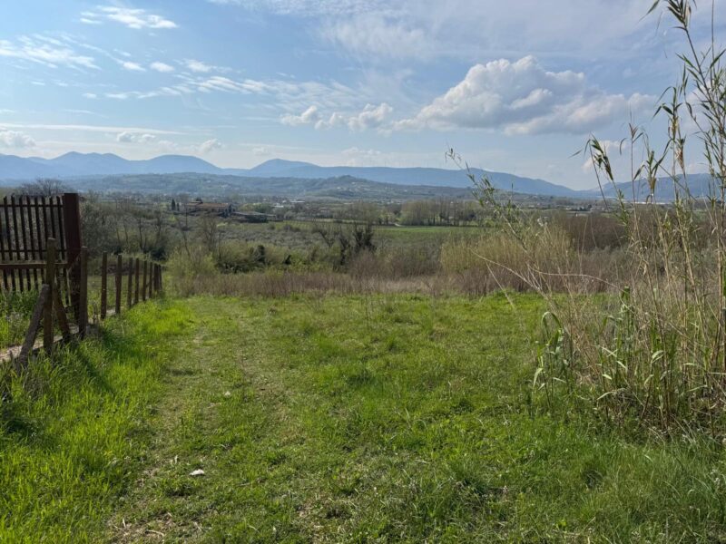 DUGENTA (BN) - 108 CAPANNONE CON TERRENO IN SPLENDIDA POSIZIONE