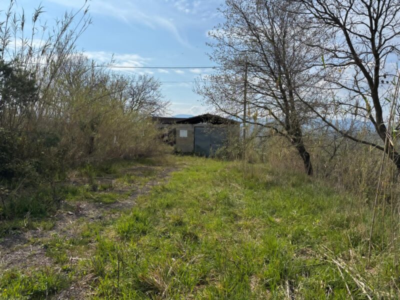 DUGENTA (BN) - 108 CAPANNONE CON TERRENO IN SPLENDIDA POSIZIONE