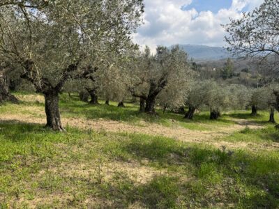 FRASSO TELESINO (BN) - 269 TERRENO CON DEPOSITO