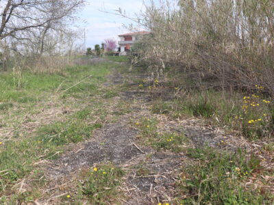 DUGENTA (BN) - 108 CAPANNONE CON TERRENO IN SPLENDIDA POSIZIONE