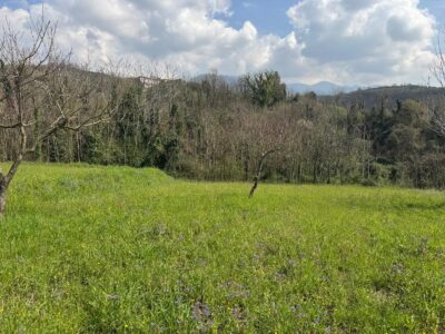 FRASSO TELESINO (BN) - 269 TERRENO CON DEPOSITO