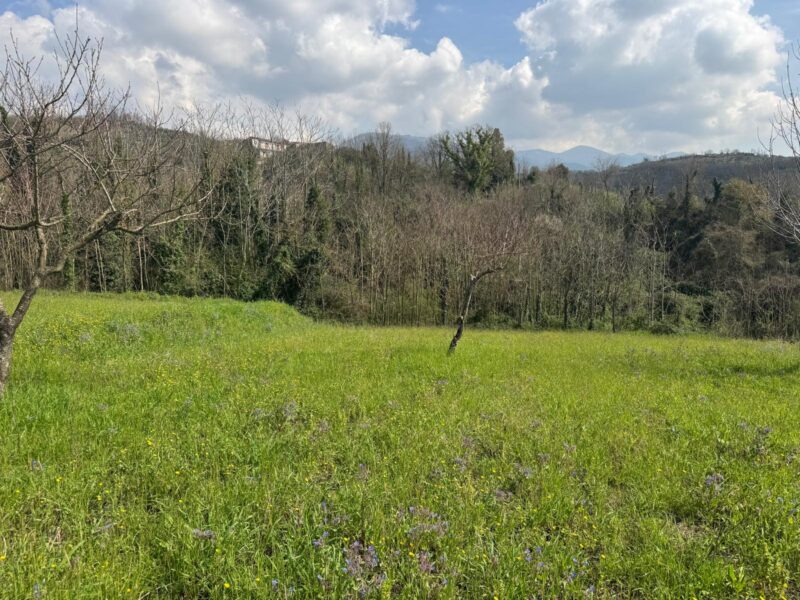 FRASSO TELESINO (BN) - 269 TERRENO CON DEPOSITO