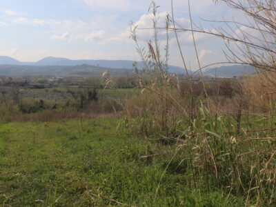 DUGENTA (BN) - 108 CAPANNONE CON TERRENO IN SPLENDIDA POSIZIONE