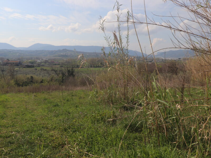 DUGENTA (BN) - 108 CAPANNONE CON TERRENO IN SPLENDIDA POSIZIONE