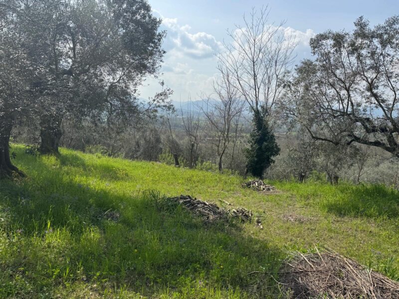 FRASSO TELESINO (BN) - 269 TERRENO CON DEPOSITO