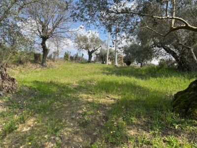 FRASSO TELESINO (BN) - 269 TERRENO CON DEPOSITO