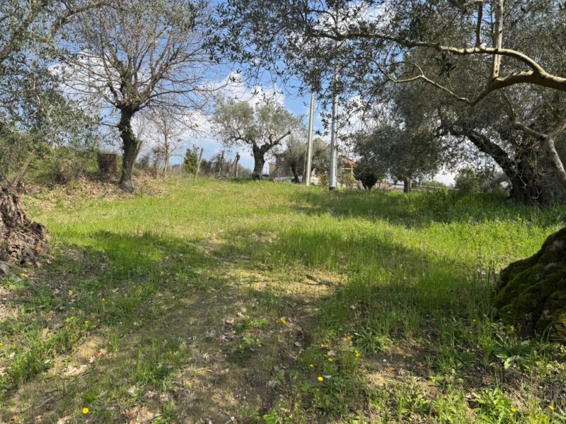 FRASSO TELESINO (BN) - 269 TERRENO CON DEPOSITO