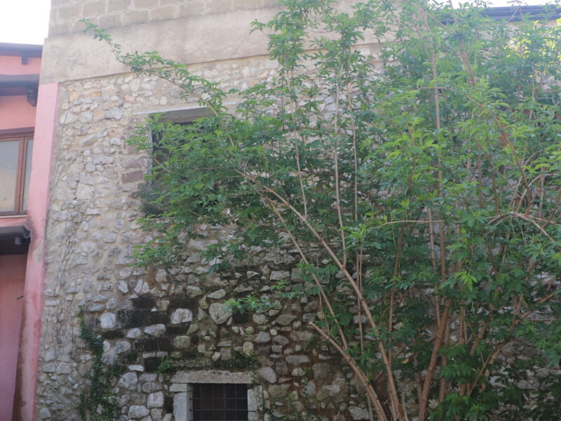 FRASSO TELESINO (BN) - 331 ABITAZIONE DA RISTRUTTURARE