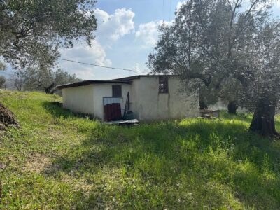 FRASSO TELESINO (BN) - 269 TERRENO CON DEPOSITO