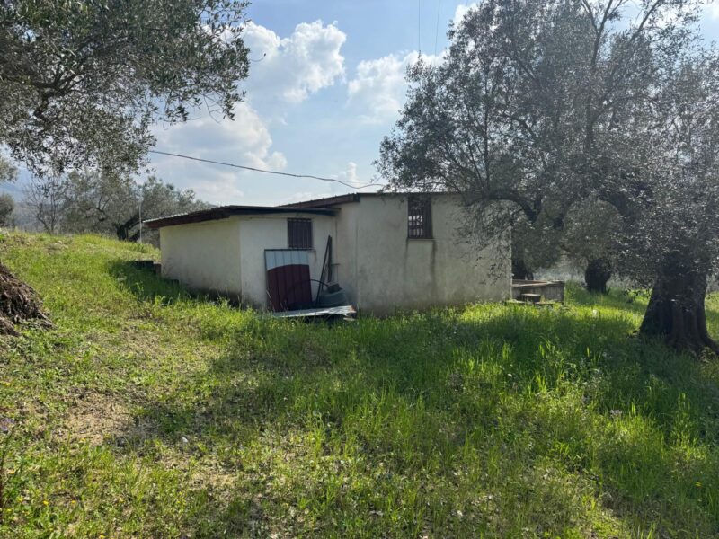 FRASSO TELESINO (BN) - 269 TERRENO CON DEPOSITO