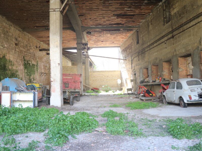 FRASSO TELESINO (BN) - 155 CAPANNONE CON SPAZIO ESTERNO