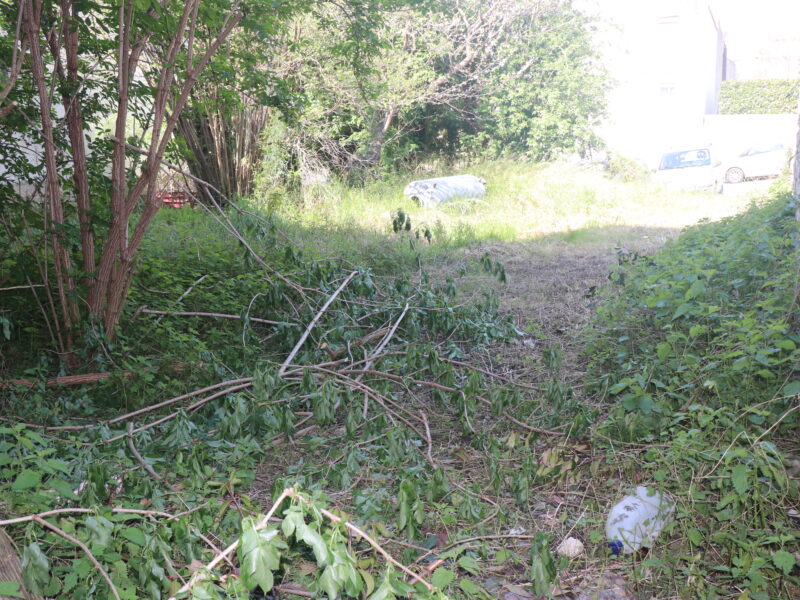 FRASSO TELESINO (BN) - 87 LOCALE COMMERCIALE D/8 CON GIARDINO