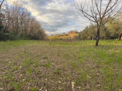 DUGENTA (BN) - 164 TERRENO AGRICOLO