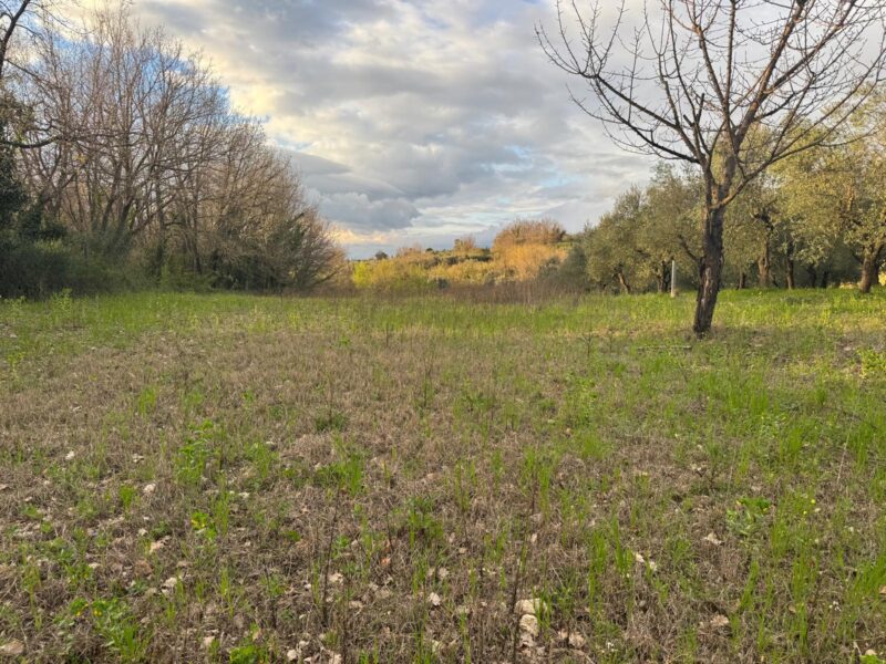 DUGENTA (BN) - 164 TERRENO AGRICOLO