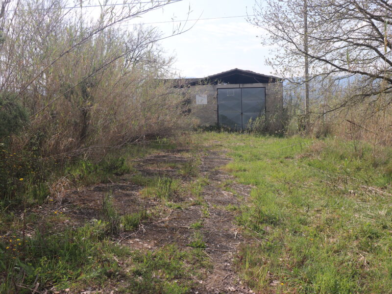 DUGENTA (BN) - 108 CAPANNONE CON TERRENO IN SPLENDIDA POSIZIONE