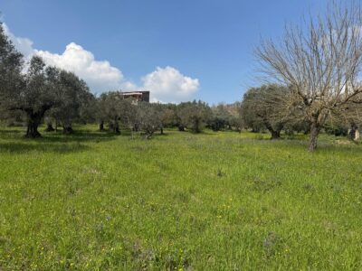 FRASSO TELESINO (BN) - 269 TERRENO CON DEPOSITO