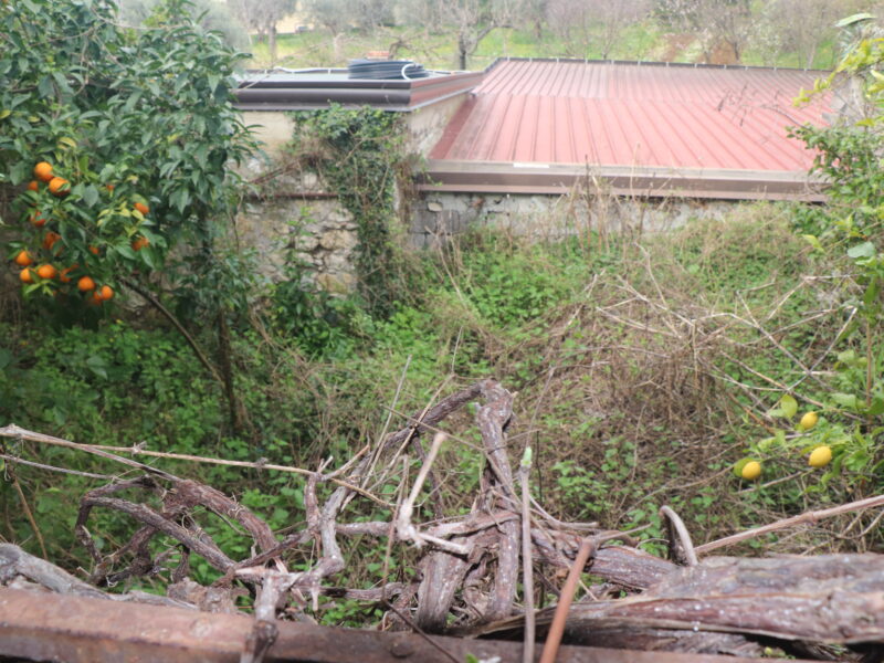 GIOIA SANNITICA (CE) - 131 PALAZZOTTO IN ZONA CENTRALE