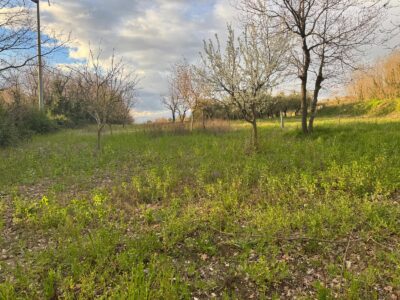 DUGENTA (BN) - 164 TERRENO AGRICOLO