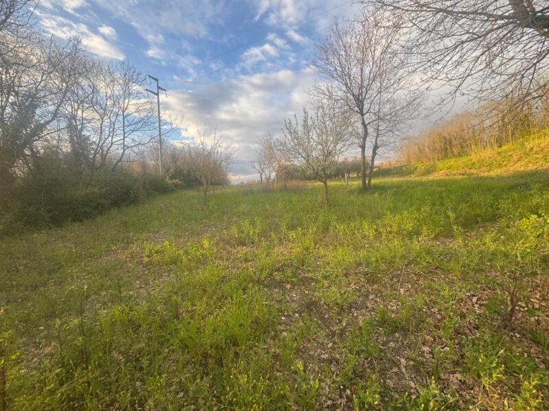 DUGENTA (BN) - 164 TERRENO AGRICOLO