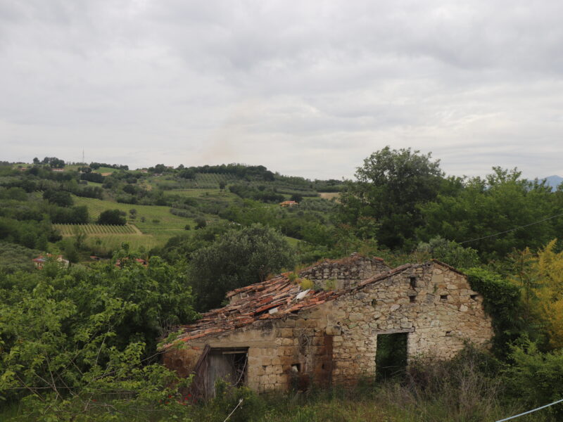 CASTEL CAMPAGNANO (CE) - 116 CASA INDIPENDENTE E DEPENDANCE DA RISTRUTTURARE