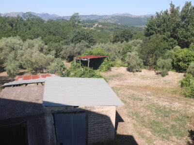 MELIZZANO (BN) - 115 SOLUZIONE INDIPENDENTE CON TERRENO E ULIVETO