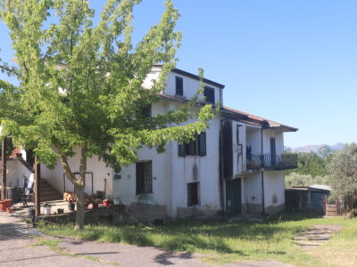 MELIZZANO (BN) - 115 SOLUZIONE INDIPENDENTE CON TERRENO E ULIVETO