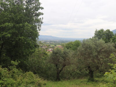 CASTEL CAMPAGNANO (CE) - 116 CASA INDIPENDENTE E DEPENDANCE DA RISTRUTTURARE