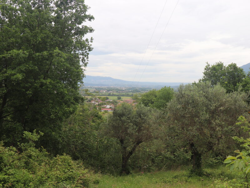 CASTEL CAMPAGNANO (CE) - 116 CASA INDIPENDENTE E DEPENDANCE DA RISTRUTTURARE