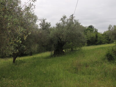 CASTEL CAMPAGNANO (CE) - 116 CASA INDIPENDENTE E DEPENDANCE DA RISTRUTTURARE