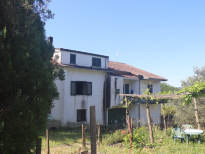 MELIZZANO (BN) - 115 SOLUZIONE INDIPENDENTE CON TERRENO E ULIVETO