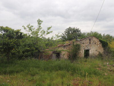 CASTEL CAMPAGNANO (CE) - 116 CASA INDIPENDENTE E DEPENDANCE DA RISTRUTTURARE