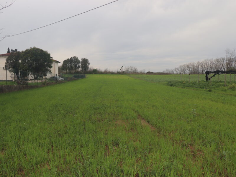DUGENTA (BN) - 2 TERRENO CON DESTINAZIONE “G”