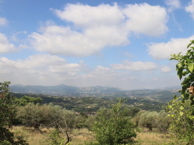 MELIZZANO (BN) - 169 TERRENO PANORAMICO DI 15.000 MQ CON ULIVETO, POZZO