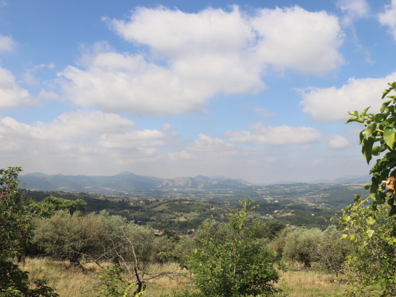 MELIZZANO (BN) - 169 TERRENO PANORAMICO DI 15.000 MQ CON ULIVETO, POZZO
