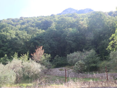 MELIZZANO (BN) - 169 TERRENO PANORAMICO DI 15.000 MQ CON ULIVETO, POZZO