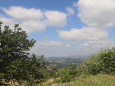 MELIZZANO (BN) - 169 TERRENO PANORAMICO DI 15.000 MQ CON ULIVETO, POZZO