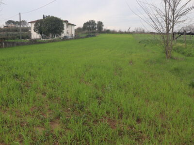 DUGENTA (BN) - 2 TERRENO CON DESTINAZIONE “G”