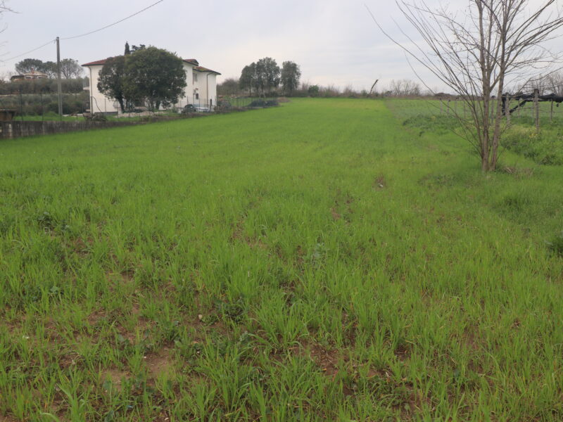 DUGENTA (BN) - 2 TERRENO CON DESTINAZIONE “G”
